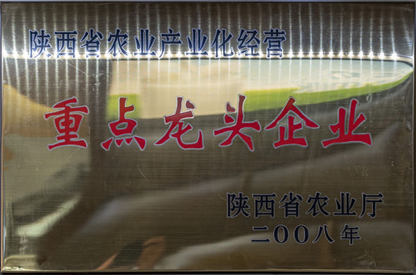 龍頭企業(yè)