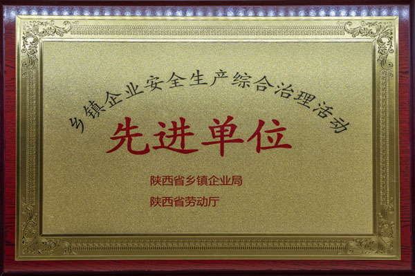 先進(jìn)單位