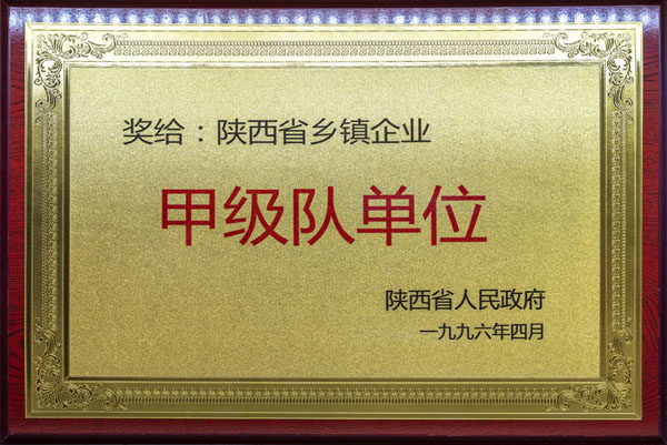 甲級隊單位